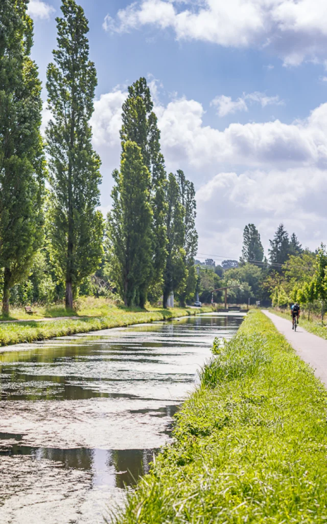 Ville de Saint-Amand-Montrond, Canal du Berry｜Anthony Perrot