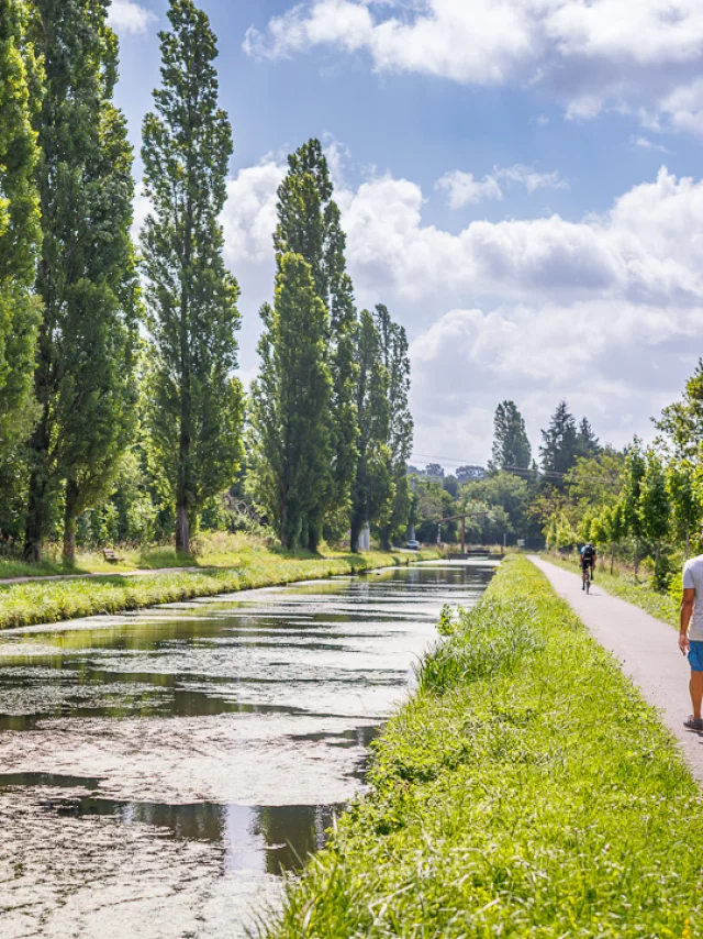 Ville de Saint-Amand-Montrond, Canal du Berry｜Anthony Perrot
