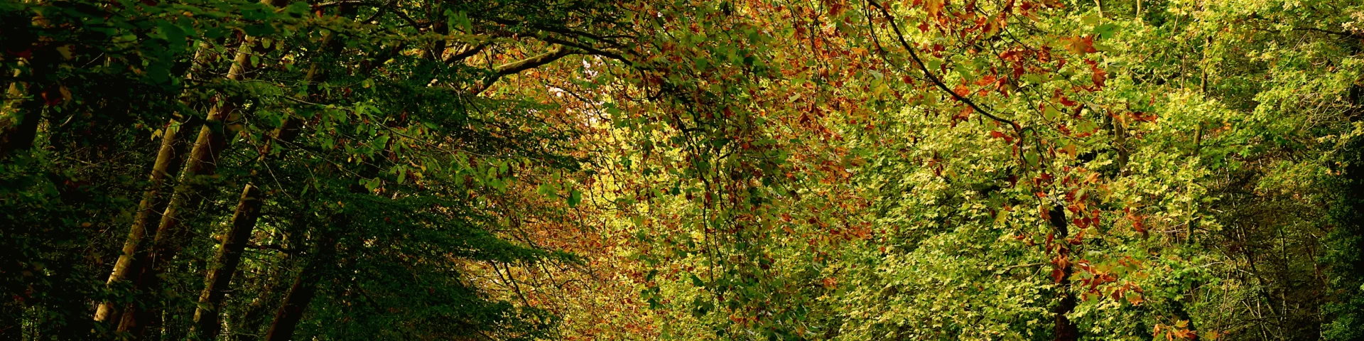 Ville d'Argent-sur-Sauldre, Canal de la Sauldre｜Catherine Bordier