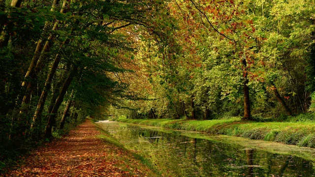 Town of Argent-sur-Sauldre, Canal de la Sauldre｜Catherine Bordier